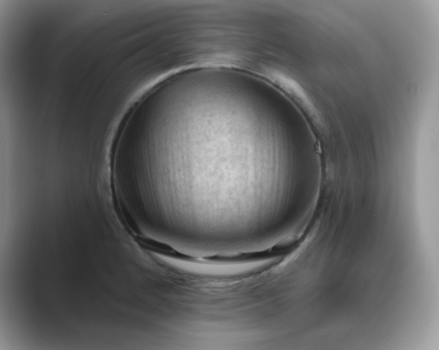 X0000089681184200707051601