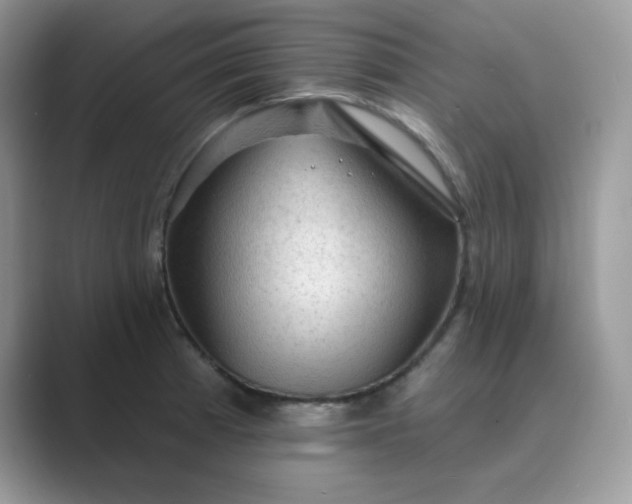 X0000089681185200707051601