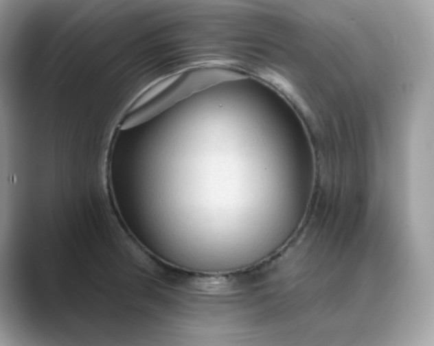 X0000089681186200707051601