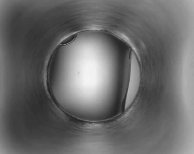 X0000089681187200707051601