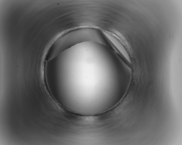 X0000089681188200707051601