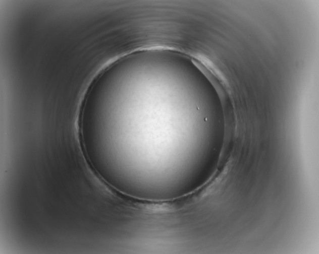 X0000089681189200707051601