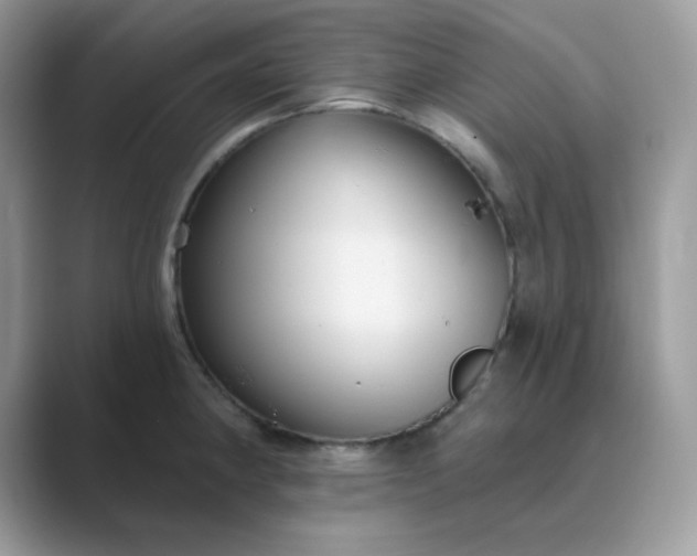 X0000089681190200707051601