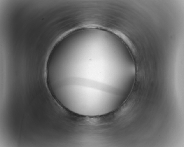 X0000089681191200707051601
