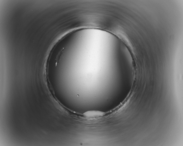 X0000089681192200707051601