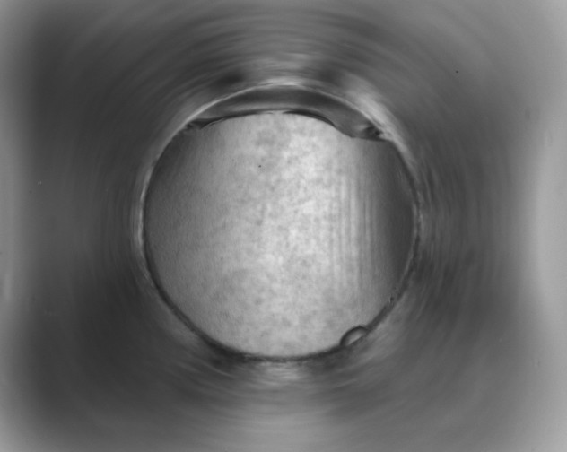X0000089681194200707051601
