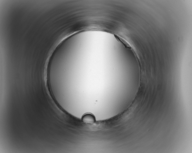 X0000089681195200707051601