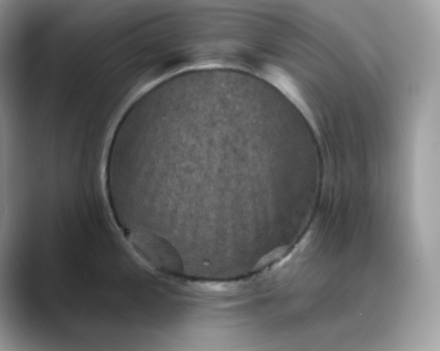 X0000089681197200707051601