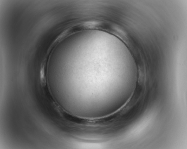 X0000089681198200707051601