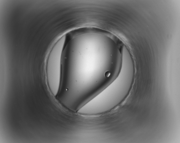 X0000089681200200707051601