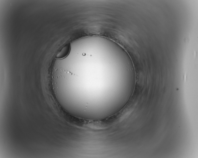 X0000089681201200707051600