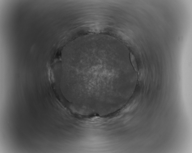 X0000089681202200707051600