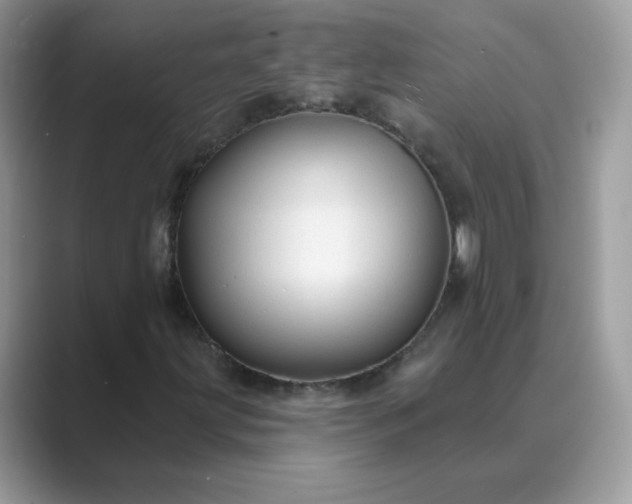X0000089681203200707051600
