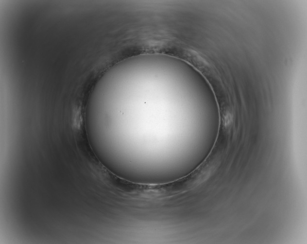 X0000089681204200707051600