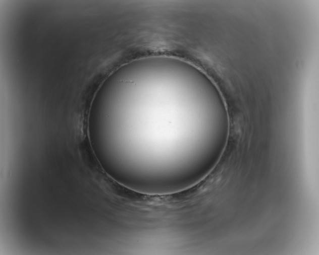 X0000089681205200707051600