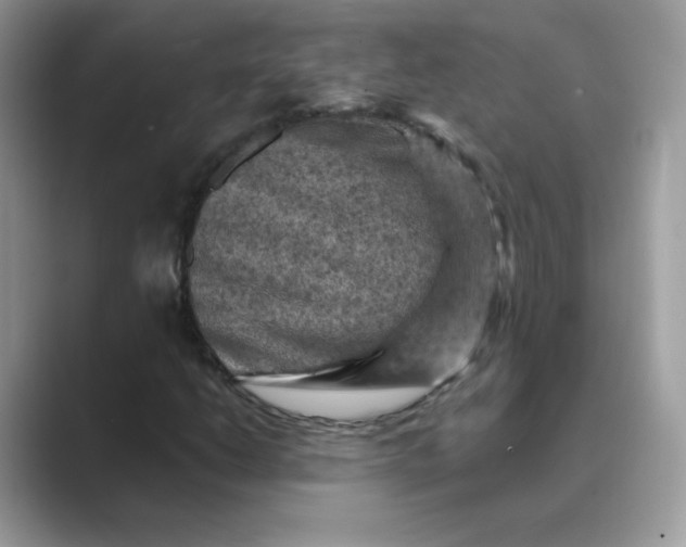 X0000089681206200707051600