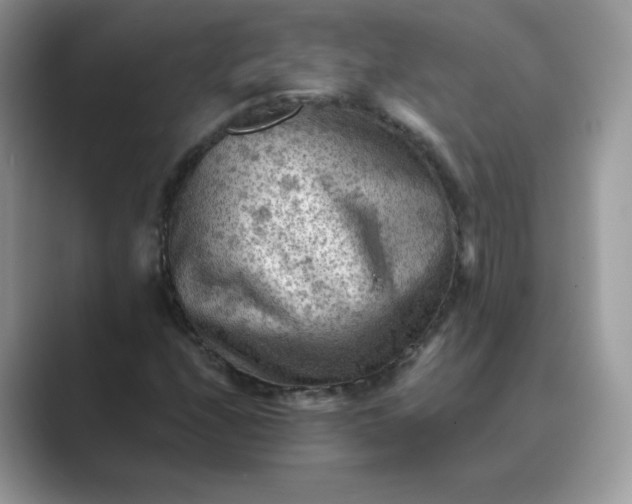 X0000089681208200707051600