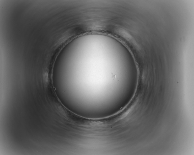 X0000089681209200707051600