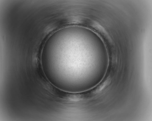 X0000089681210200707051600