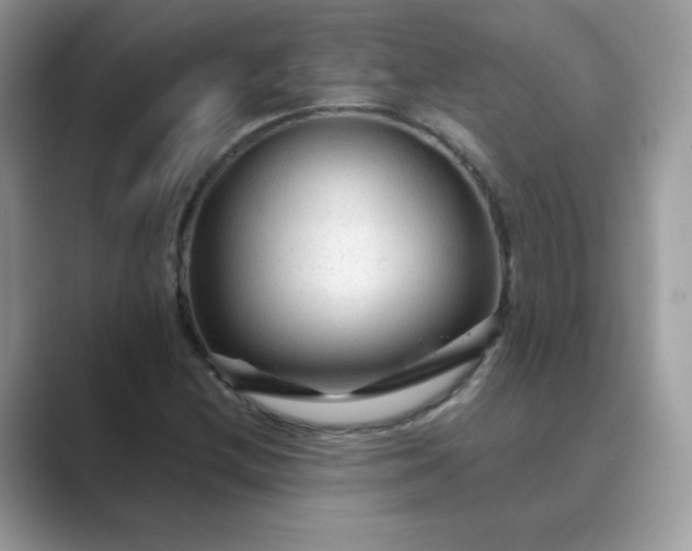 X0000089681212200707051600