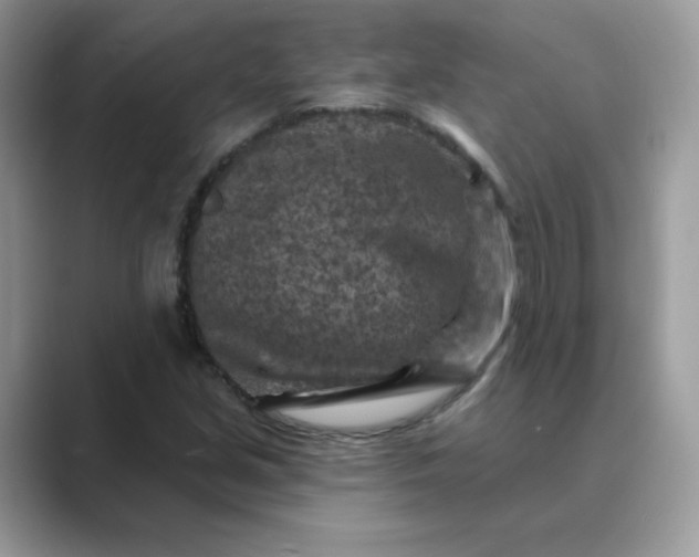 X0000089681213200707051600