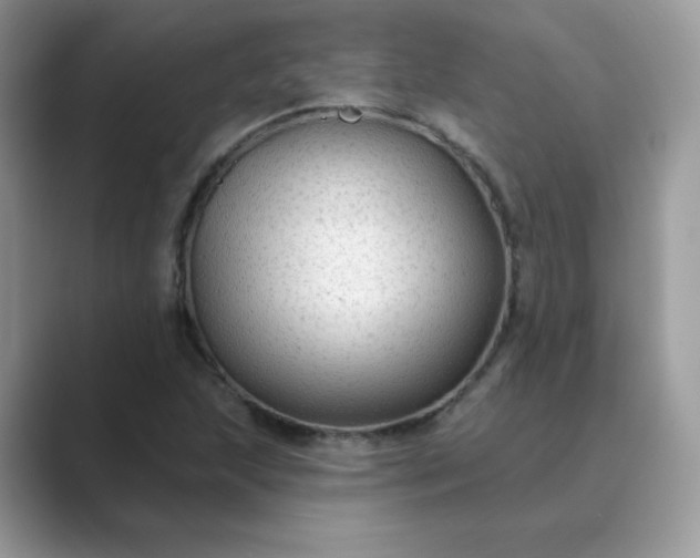 X0000089681215200707051600