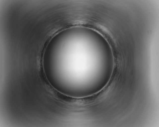 X0000089681217200707051600