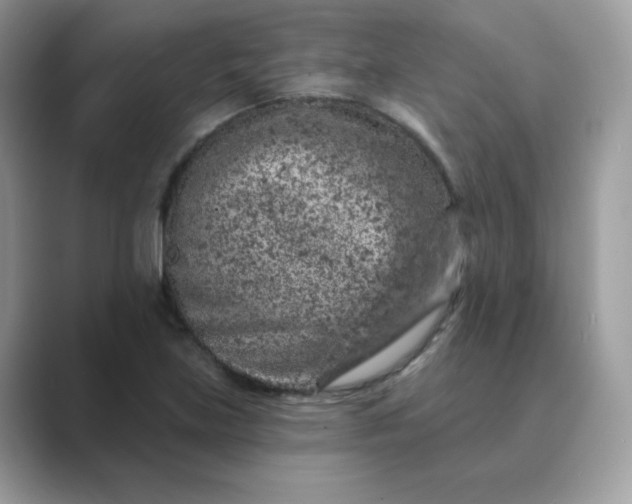 X0000089681219200707051600