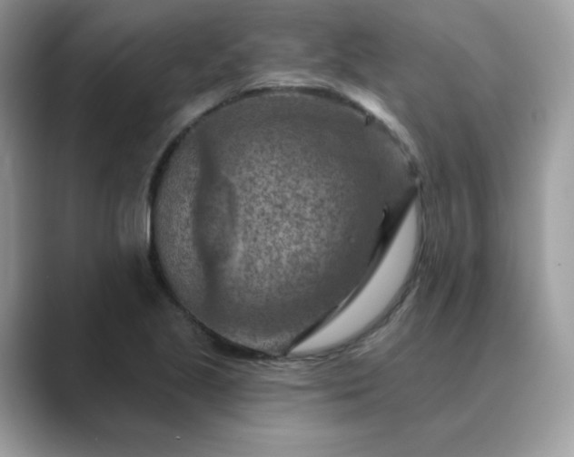 X0000089681221200707051600