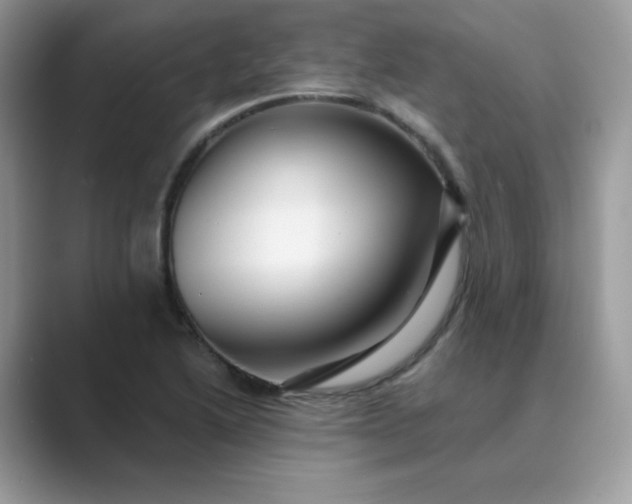 X0000089681222200707051600
