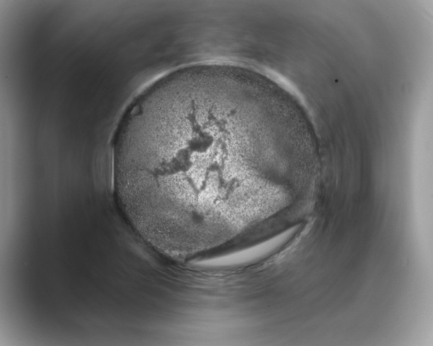 X0000089681223200707051600