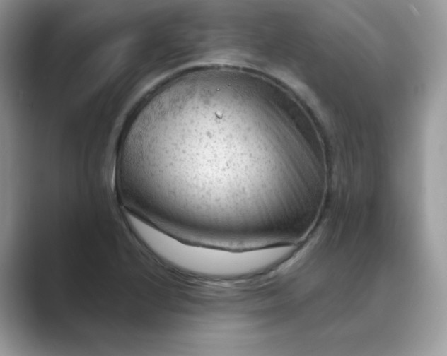 X0000089681224200707051600