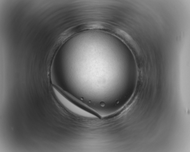 X0000089681225200707051600