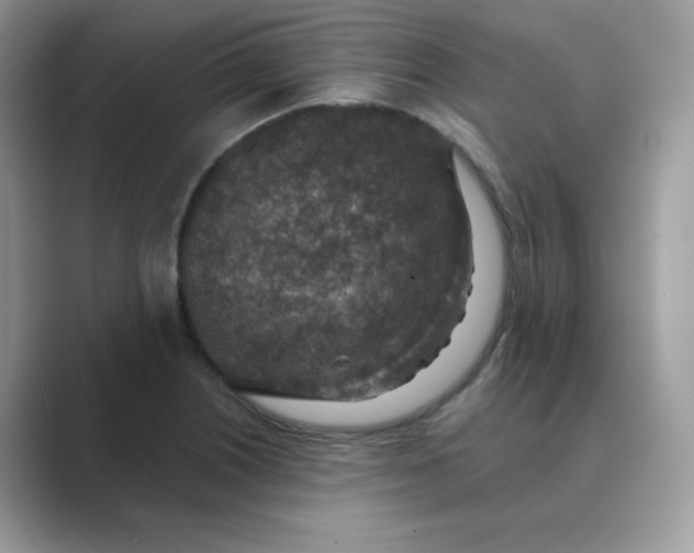 X0000089681226200707051600