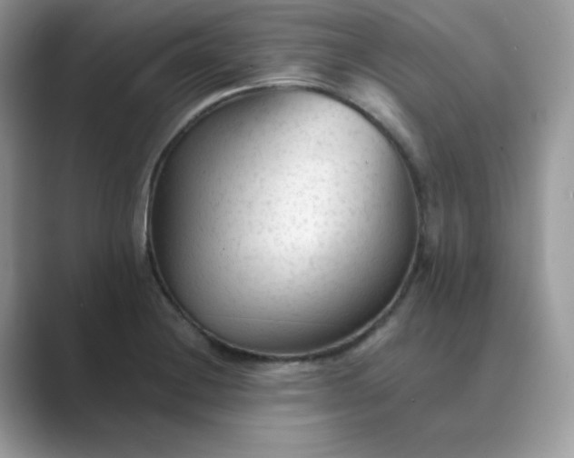 X0000089681228200707051600