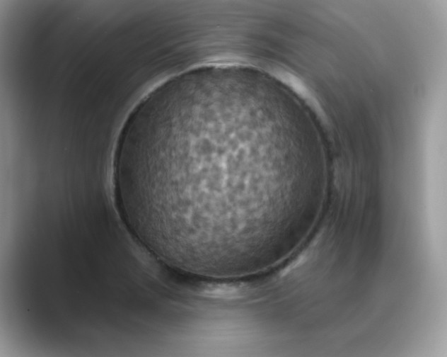 X0000089681229200707051600