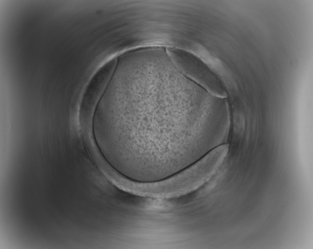 X0000089681230200707051600