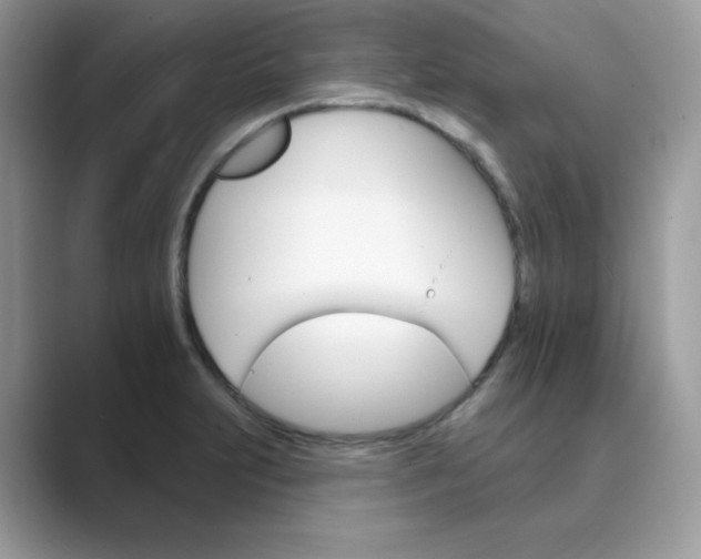 X0000089681231200707051600
