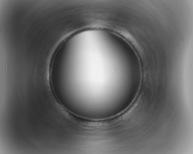 X0000089681232200707051600