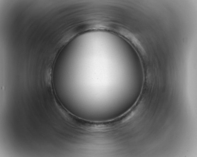 X0000089681233200707051600