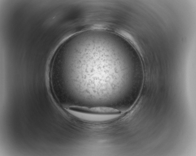 X0000089681235200707051601