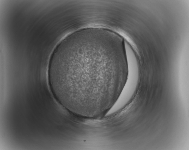 X0000089681237200707051601