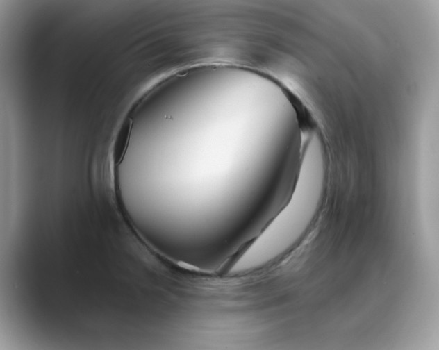 X0000089681238200707051601