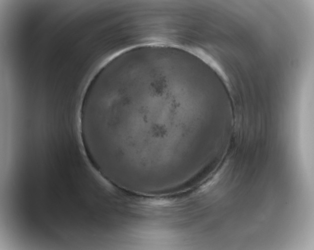 X0000089681239200707051601