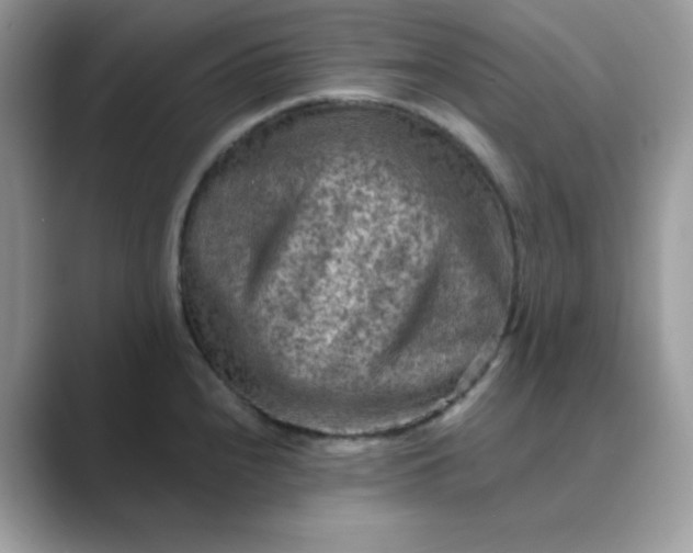 X0000089681240200707051601
