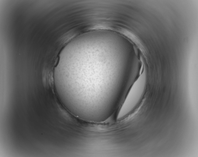 X0000089681241200707051601