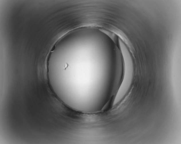 X0000089681242200707051601