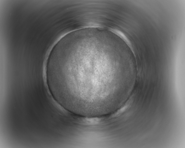 X0000089681243200707051601