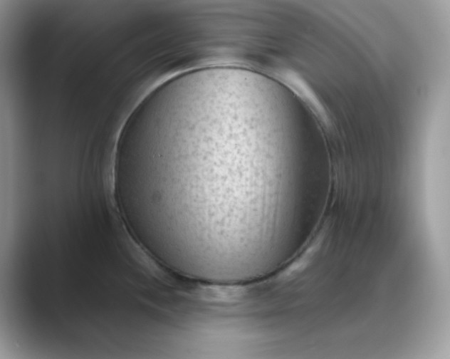 X0000089681244200707051601