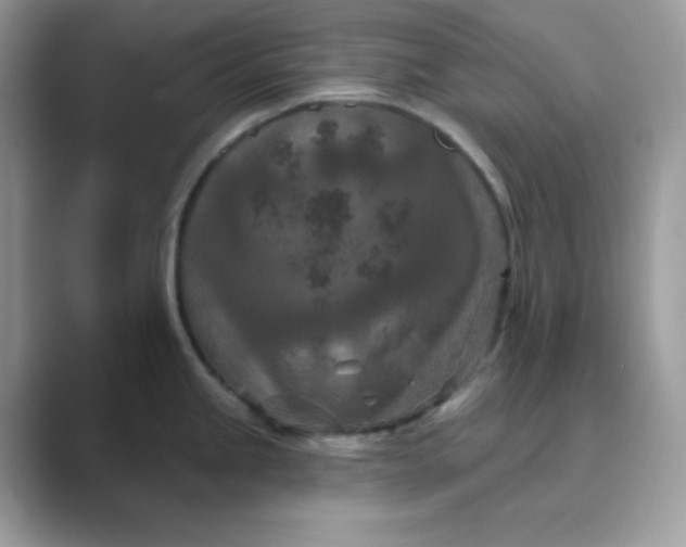 X0000089681245200707051601